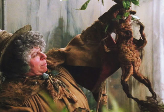 %e7%85%8e%e8%92%9f%e8%92%bb