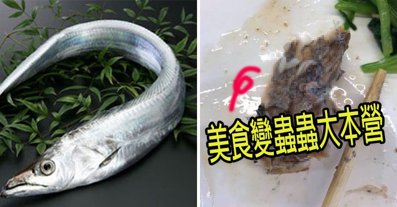 他挖開白帶魚想大口吞下秒驚見 魚肉變寄生蟲大本營 店家 這正常