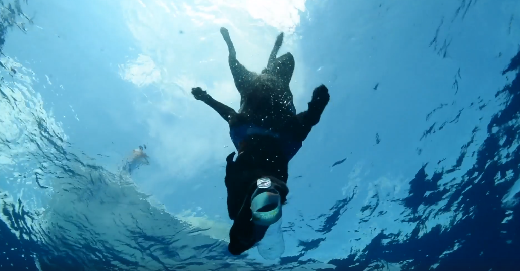 %e6%bd%9b%e6%b0%b4%e6%8b%89%e6%8b%89