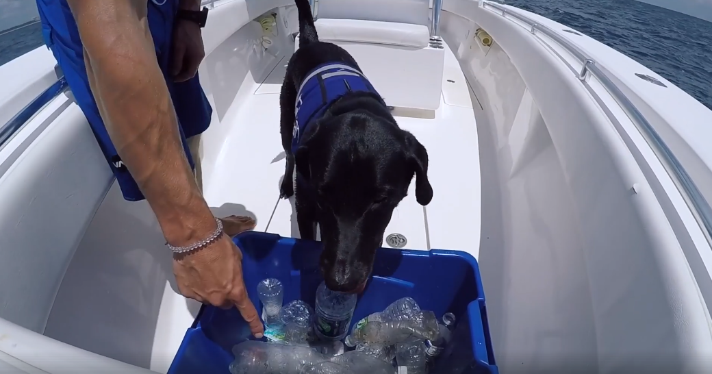 %e6%bd%9b%e6%b0%b4%e6%8b%89%e6%8b%89