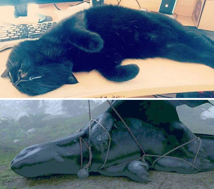 %e9%a6%b4%e9%be%8d%e9%ab%98%e6%89%8b%e9%bb%91%e8%b2%93