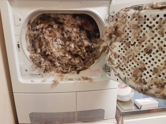 洗衣机悲剧