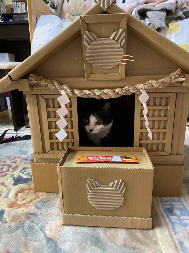 紙箱貓咪神社